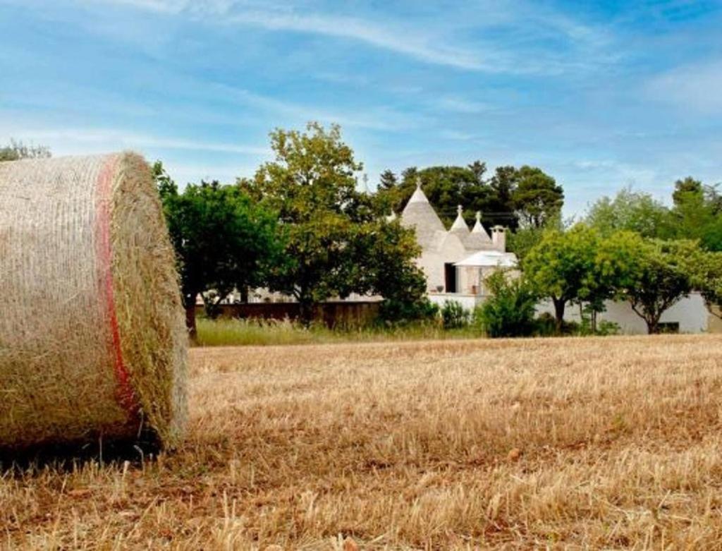 Trulli Delle Rose Villa Martina Franca Dış mekan fotoğraf